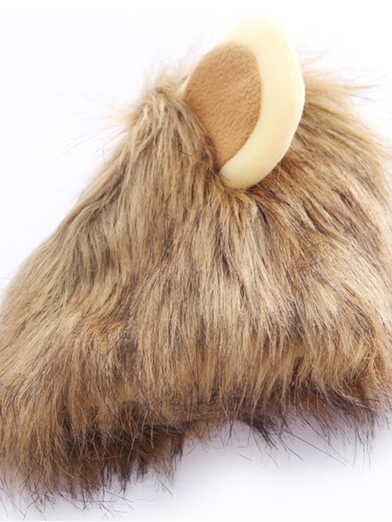 02a3381f68824077aab48dc1f03134f9-Max