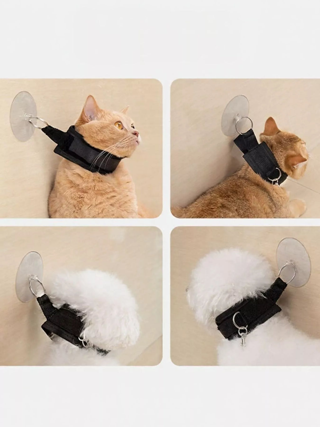 06b75217-be12-4383-9256-5dfa143e5454-Max-Origin