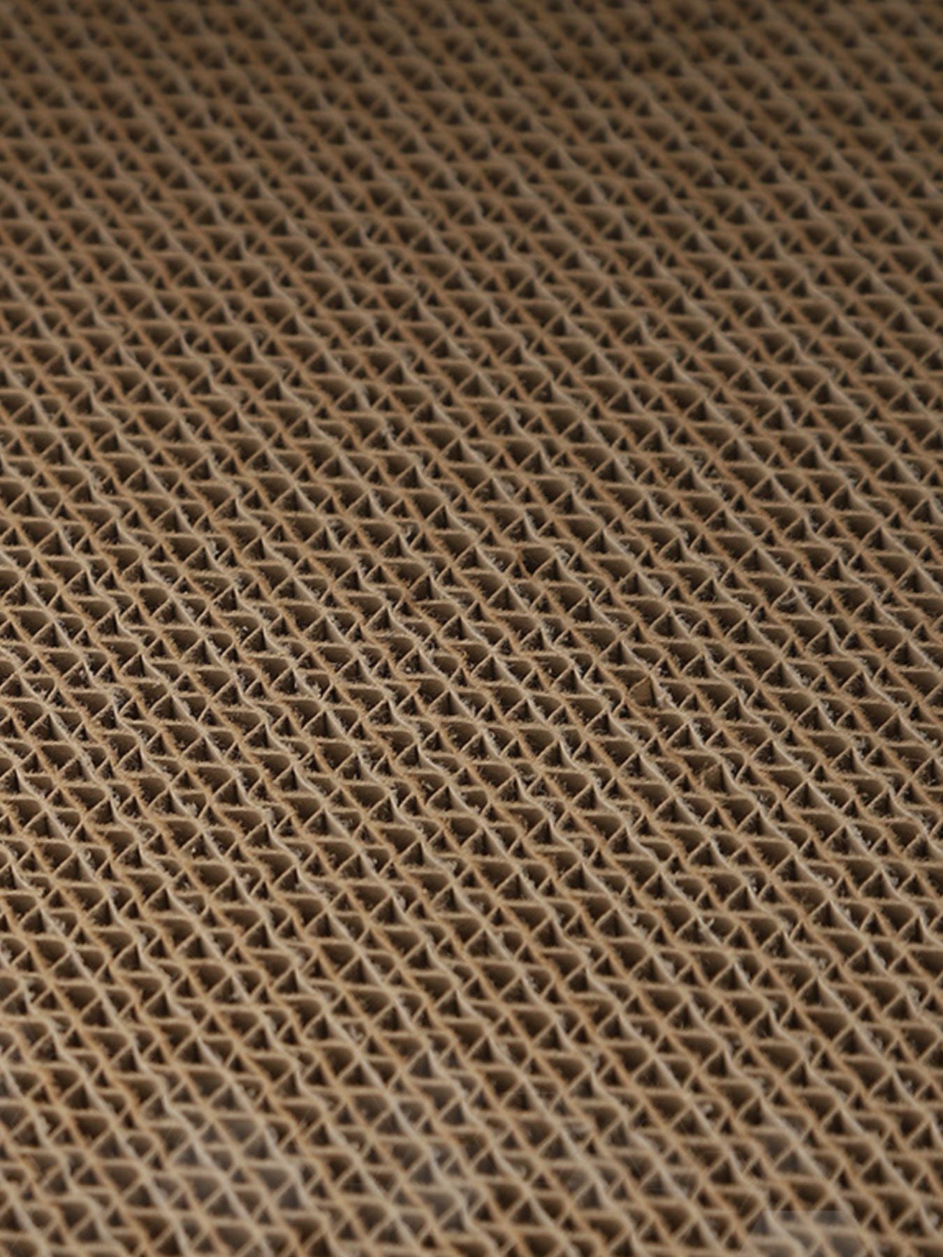 07edbf92-4076-407c-becc-64ae50fd4ec6-Max