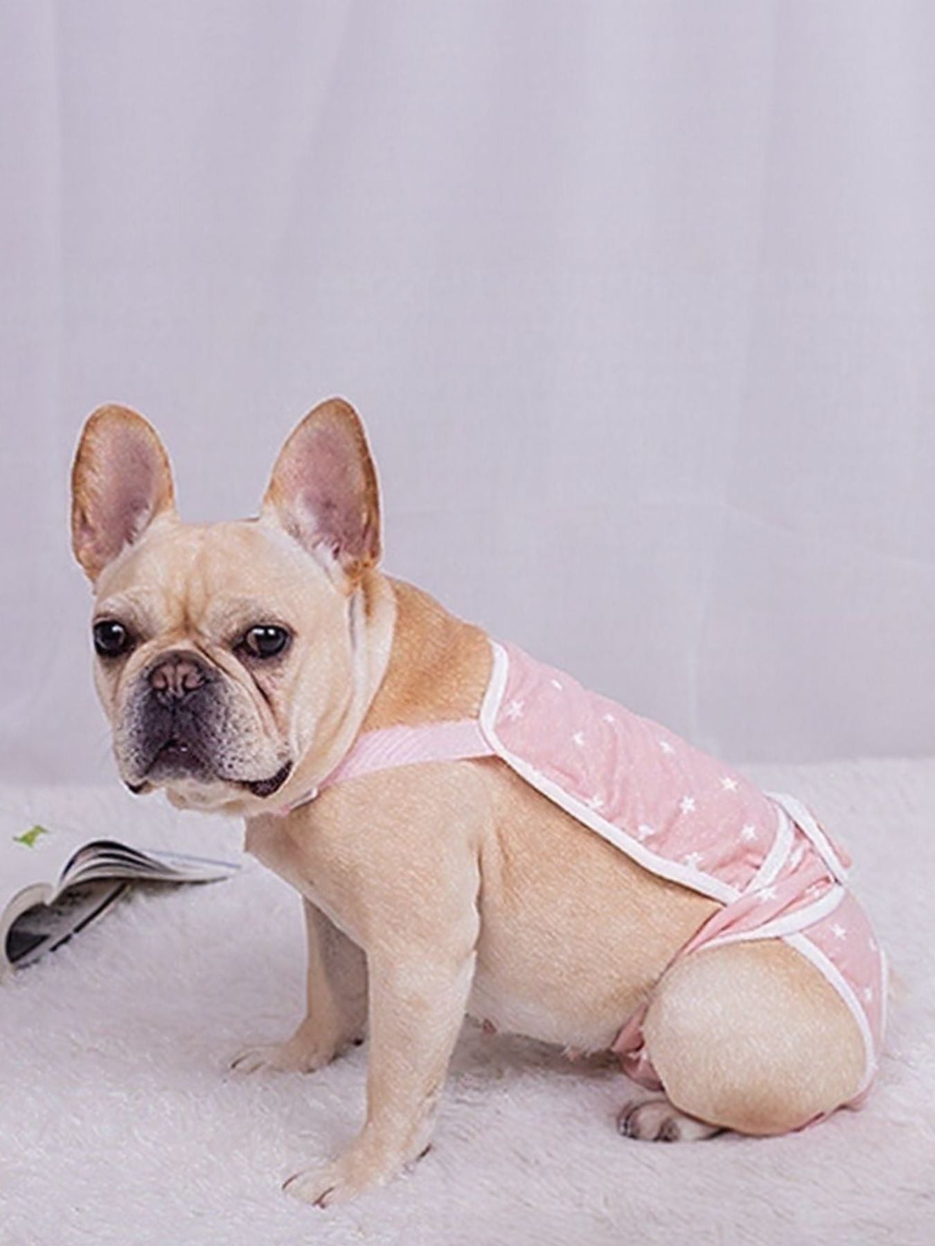 220044a7-c8e2-49a8-9764-cbf2bc119d52-Max