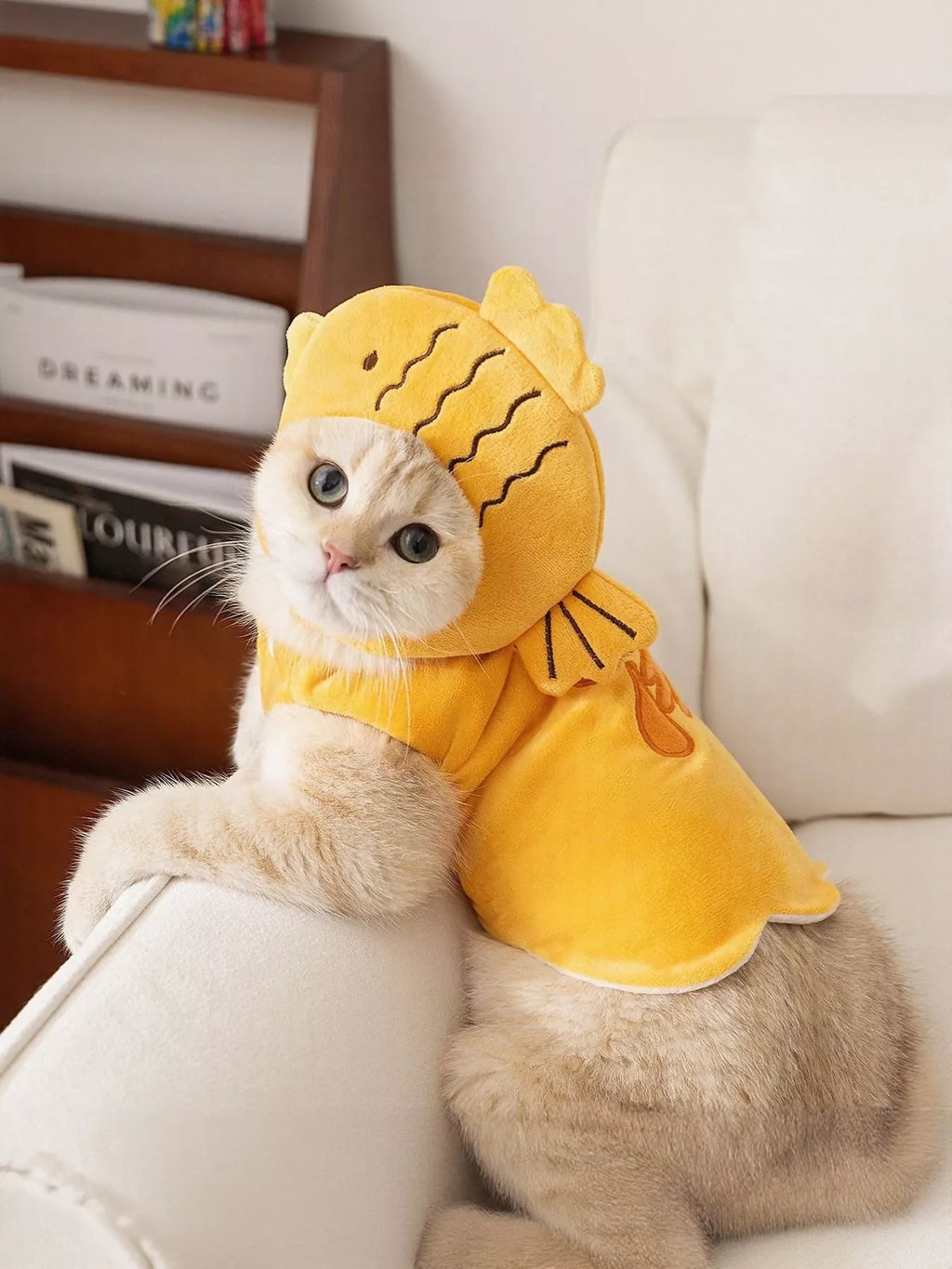 2b1b22d7-6db6-4b6a-83de-26396f032a82-Max-Origin