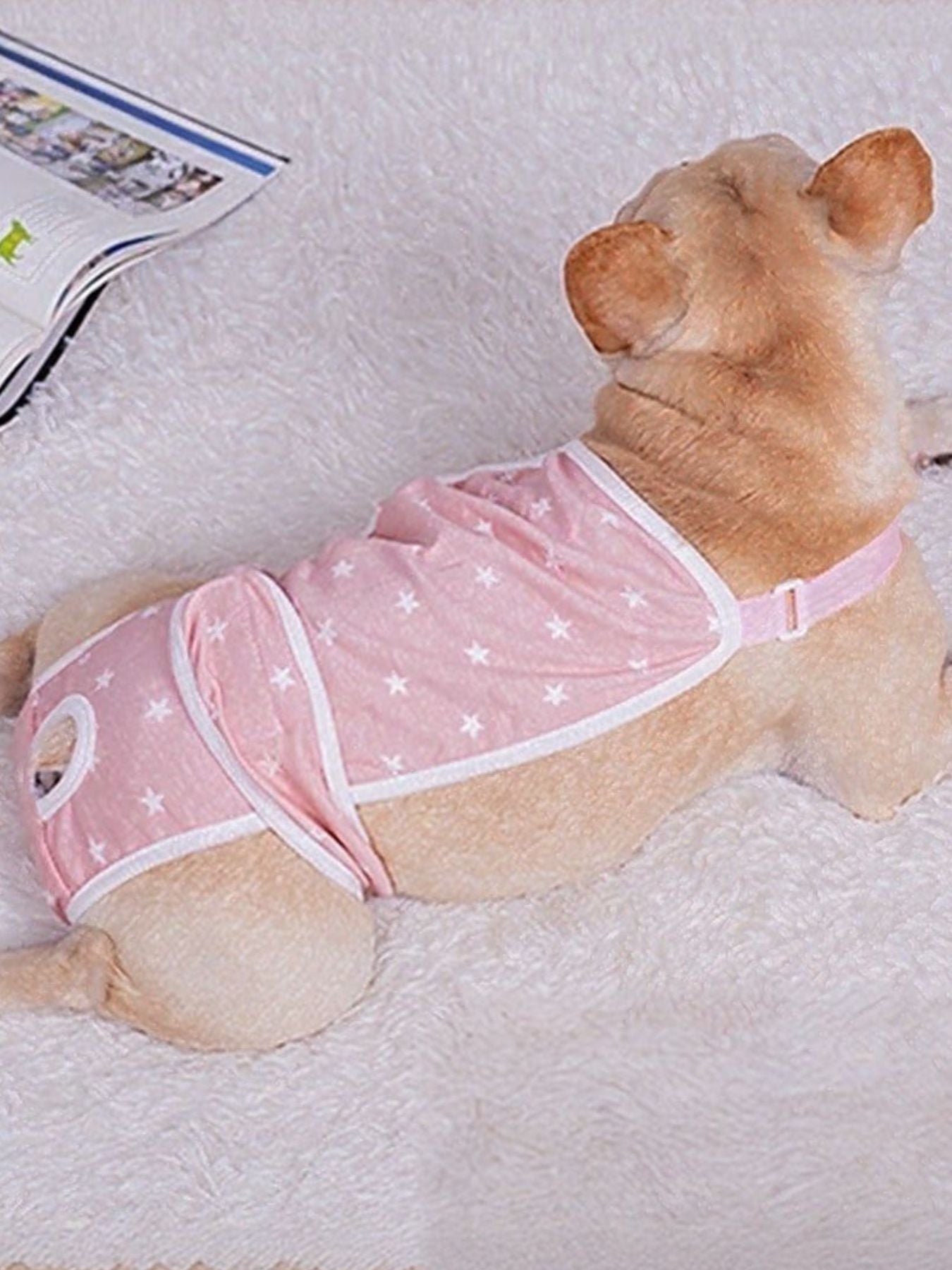 35996b00-4037-4e5d-bb0d-871b60ffe13e-Max