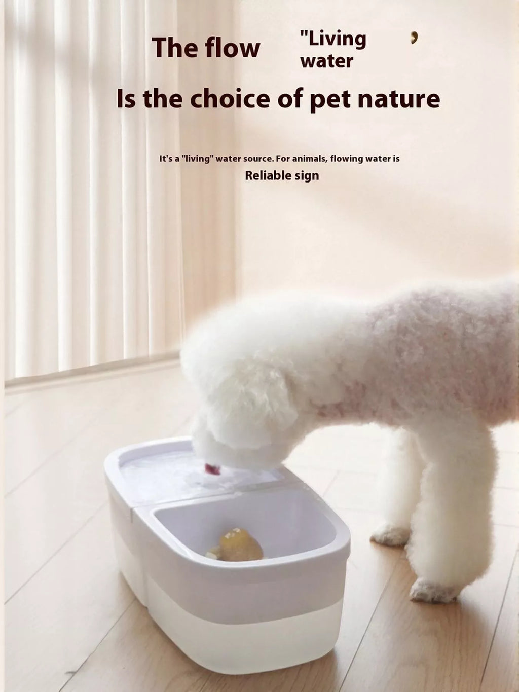 4497a899-8453-4394-ba2b-1c904c9871b3-Max-Origin