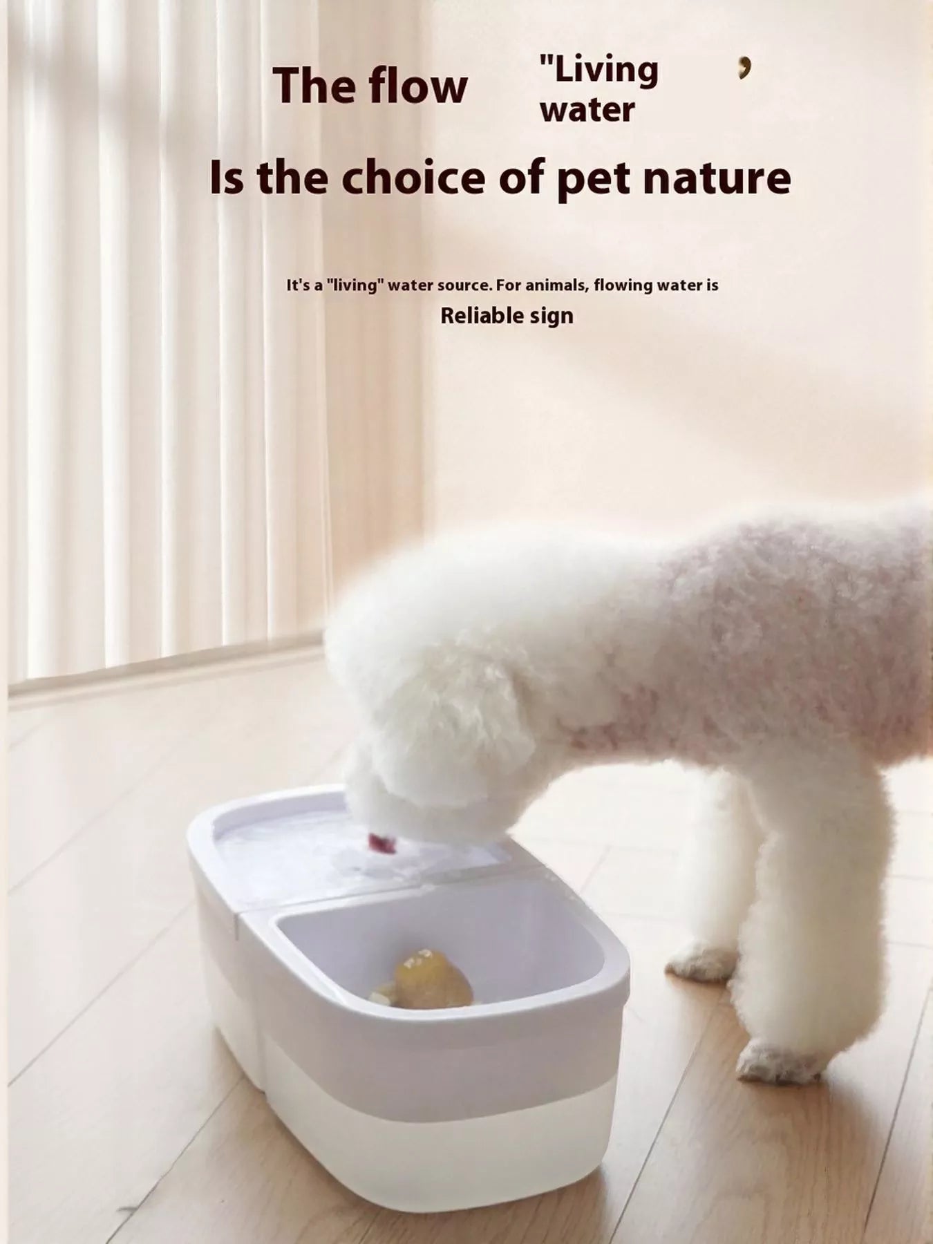 4497a899-8453-4394-ba2b-1c904c9871b3-Max-Origin