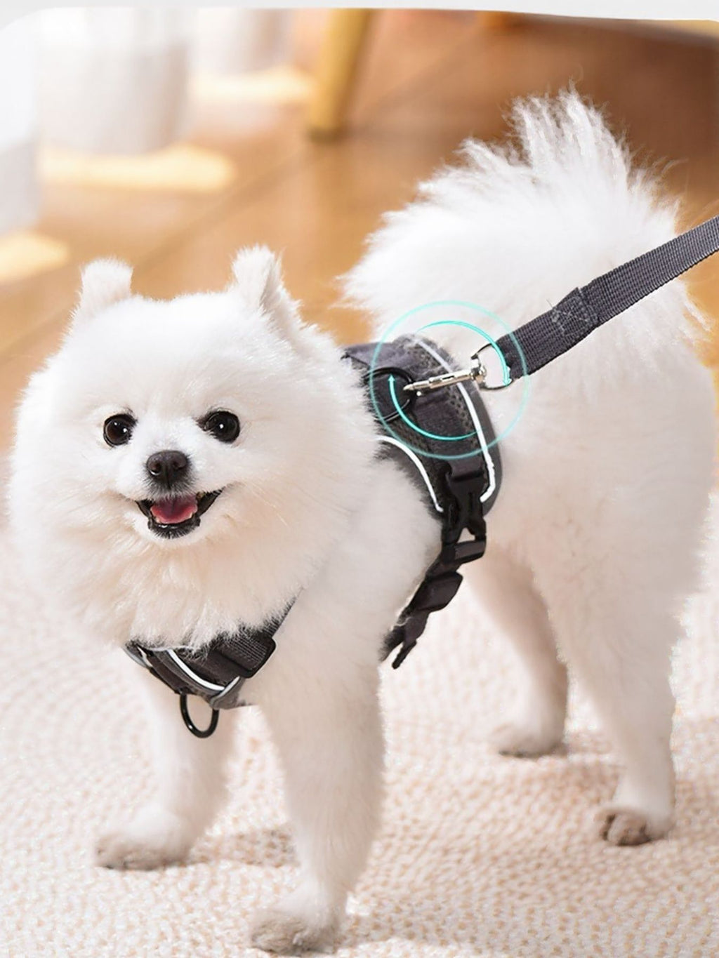 4a09869e-c34b-4f1e-a433-e2abc9a3a61e-Max