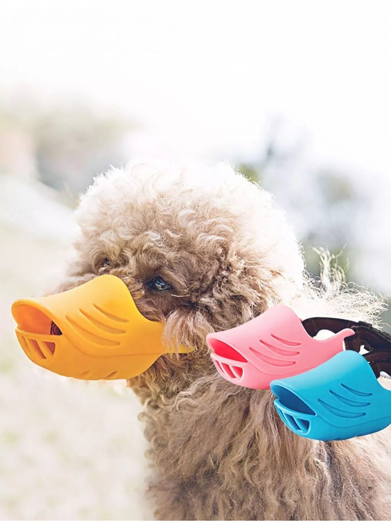 572de12e-122d-45d9-bd12-8ac38e9dc5af-Max-Origin