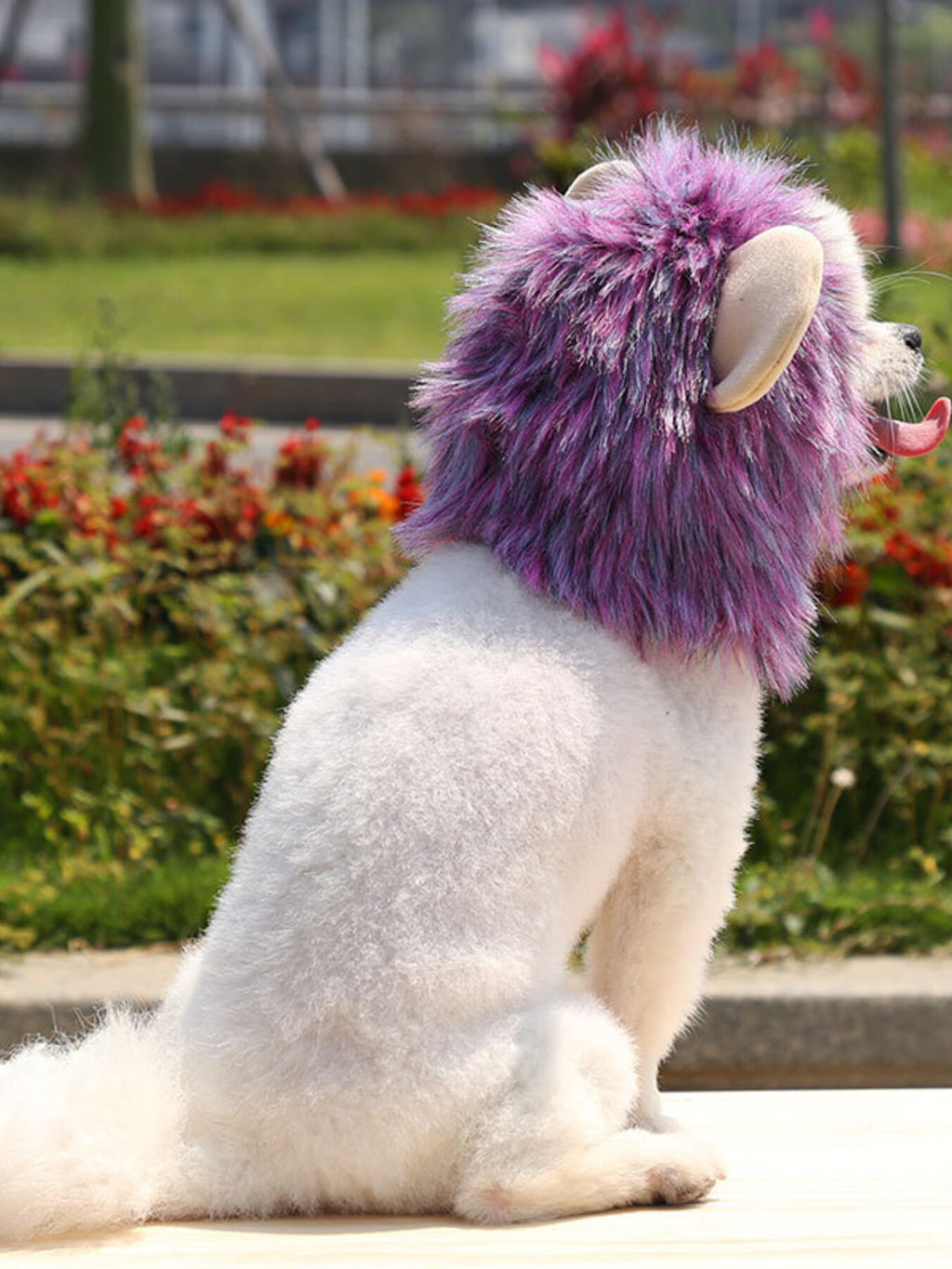 604fd720ef8048c8b2fefbdc2ebc5ae8-Max