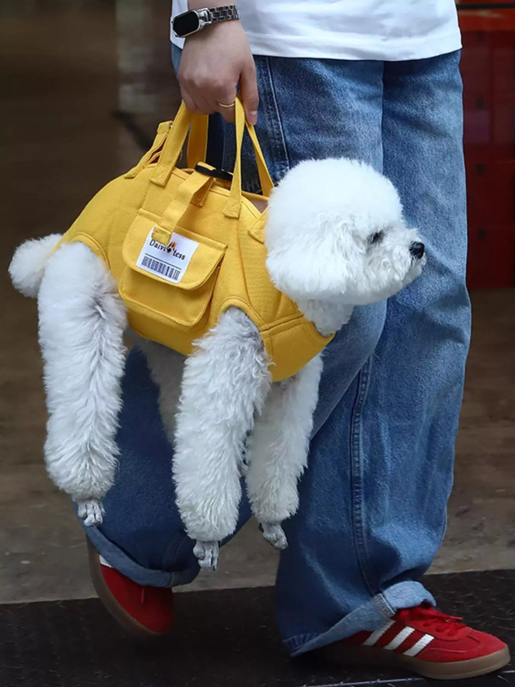 6f4526d1-8b8f-444c-9c99-a0f3f49d28ac-Max-Origin