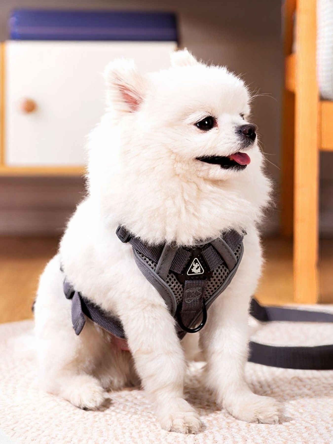 6fceffcf-d8a1-4657-9aa4-8cf7310b42b0-Max