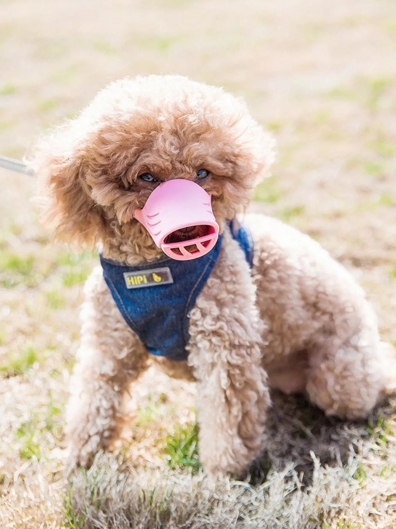 756f6aec-6fb6-428d-9291-478152b28c5e-Max-Origin