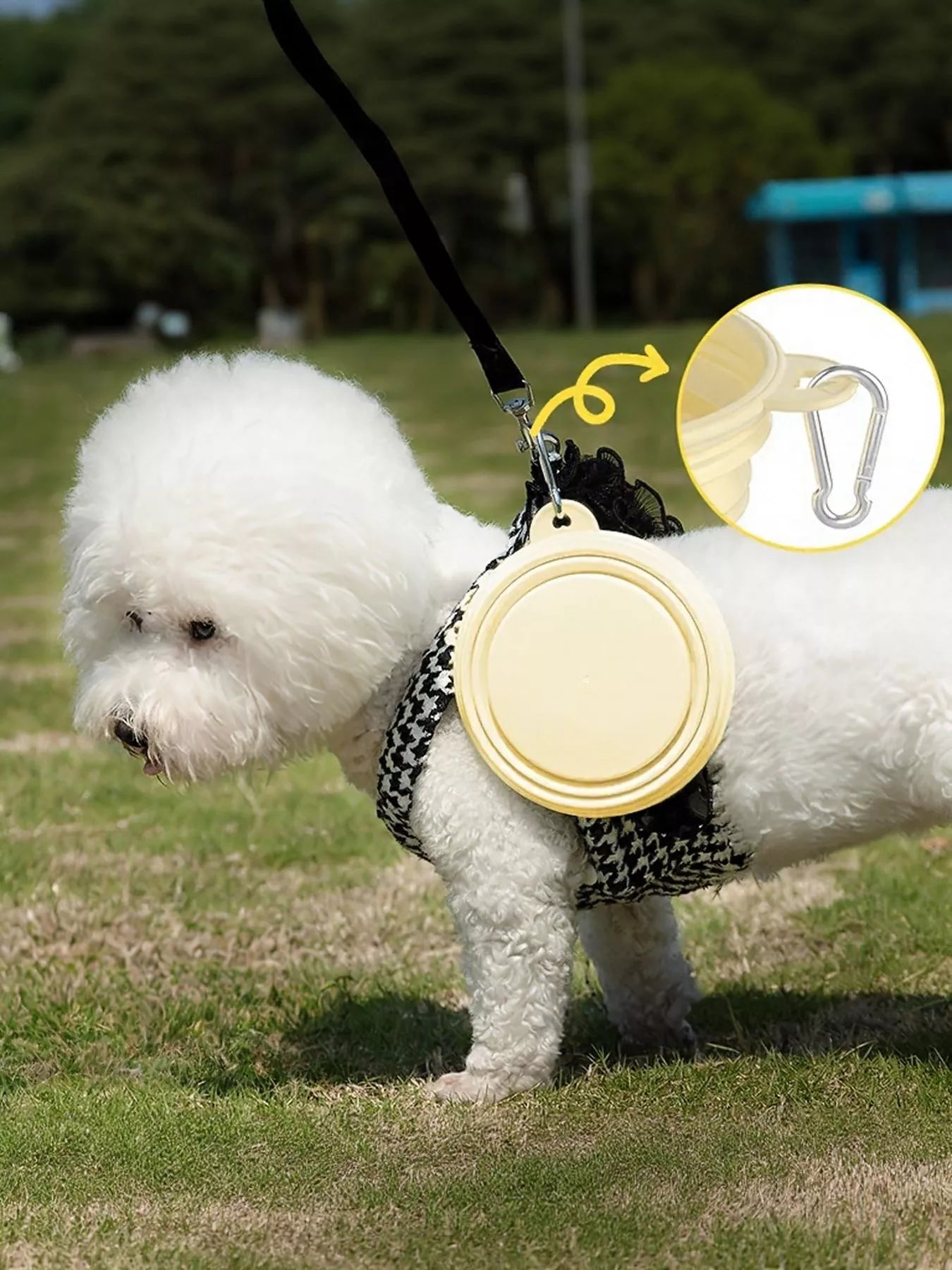 7e903a6a-8acb-4bee-a874-d518db6749f3-Max-Origin