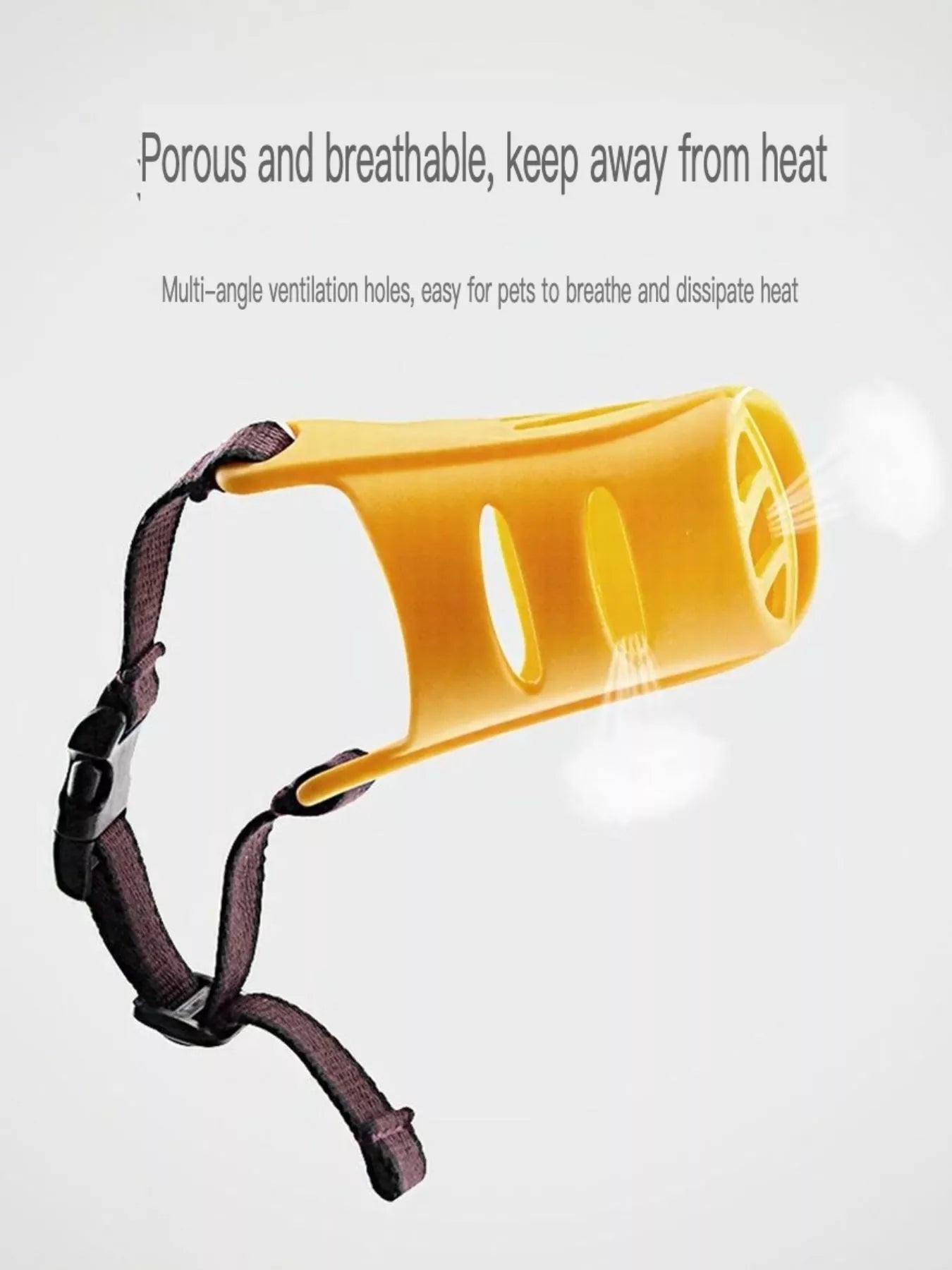 831e2b04-1ca4-4b7c-bbad-aad2b365452a-Max-Origin