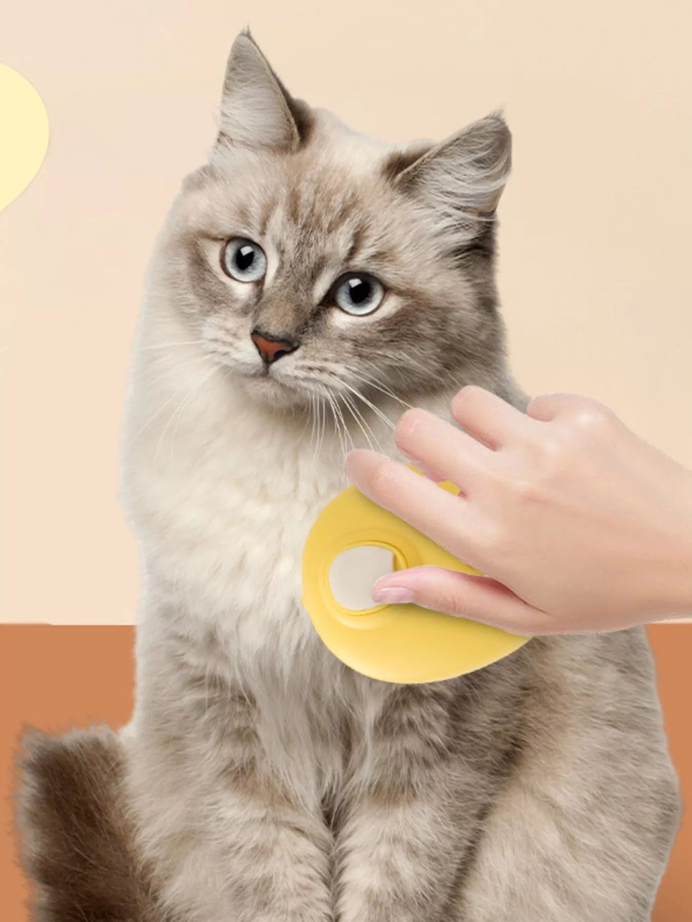 83eabfb6-8a02-449b-a028-de5badd293e2-Max-Origin