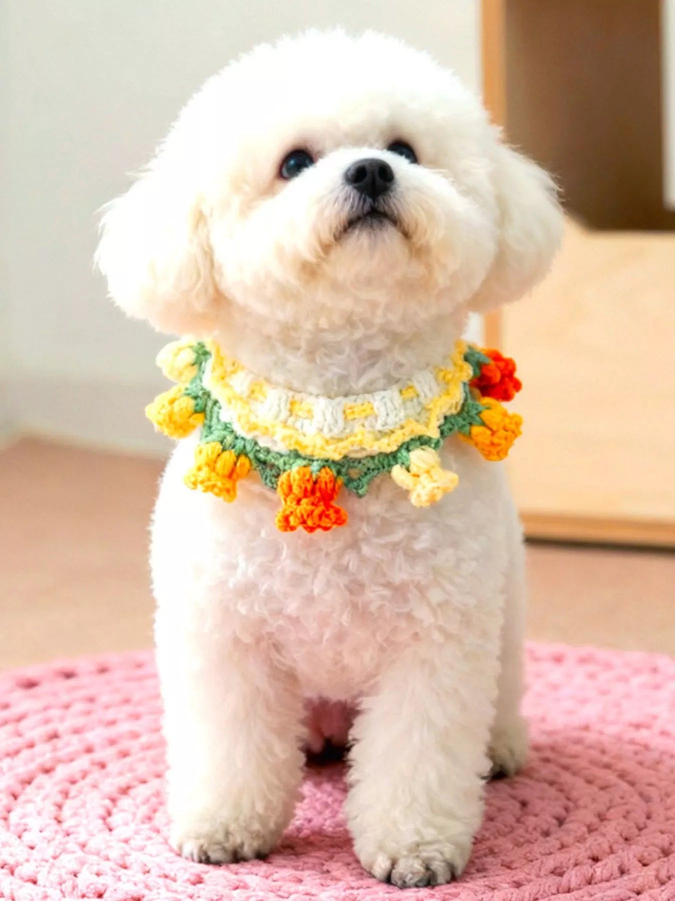 92c520eb-d375-4a24-810b-12fe40fff827-Max-Origin