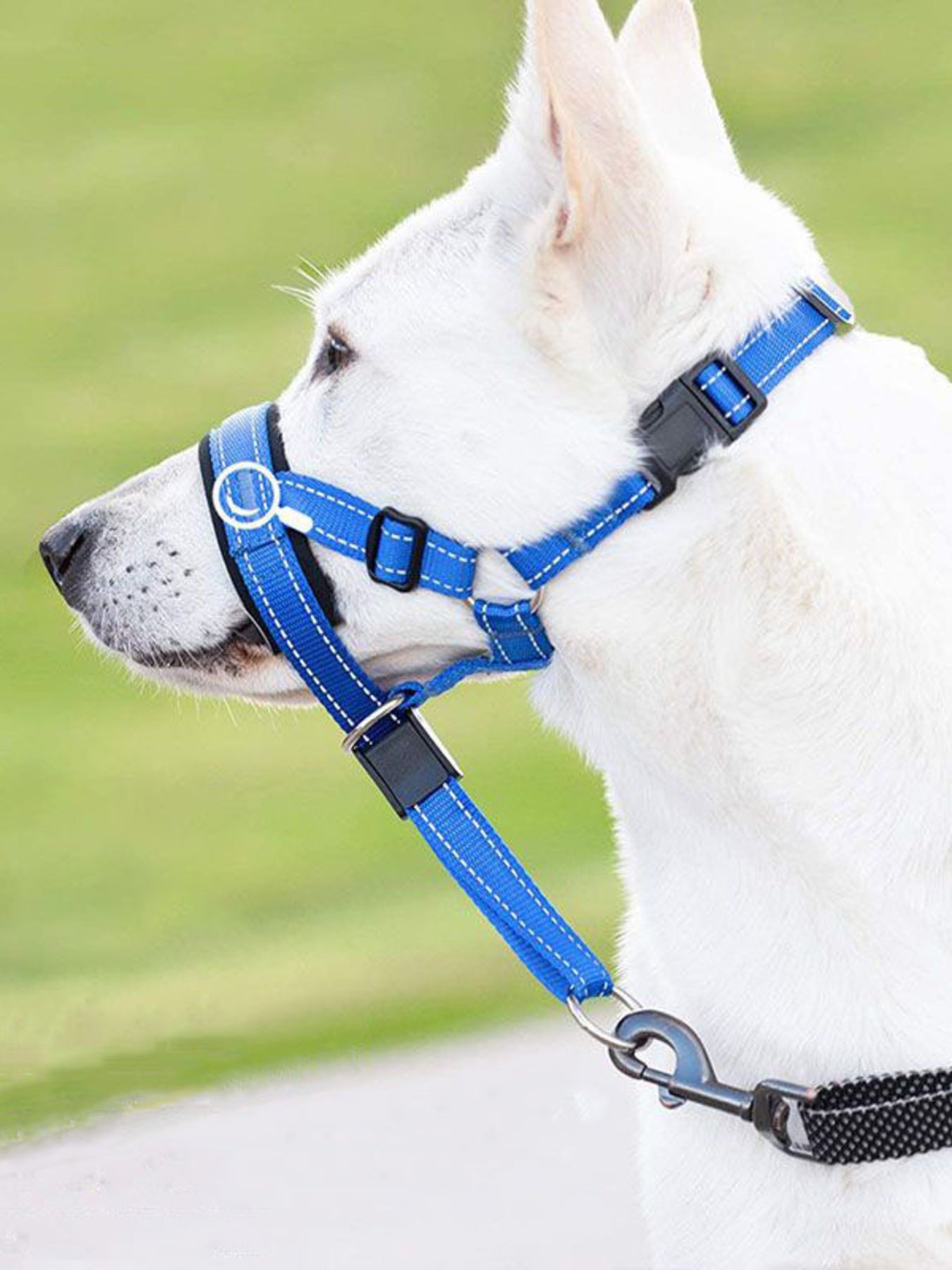 92e94b16c5bb4ceaa3002ec50752b7e4-Max