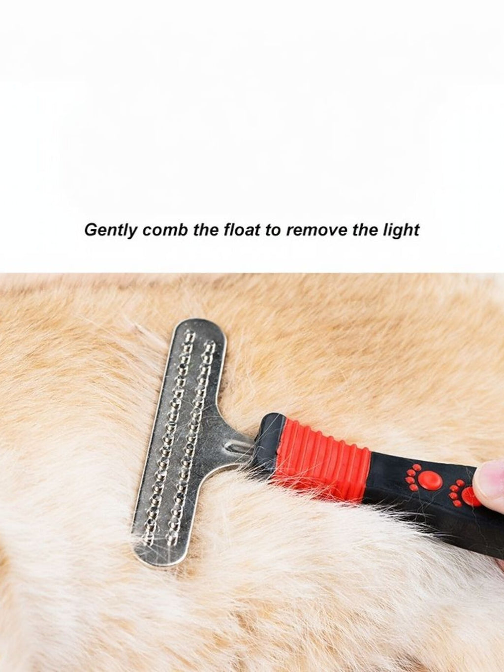 9fbb16691778419082e9c4a08045fcc4-Max