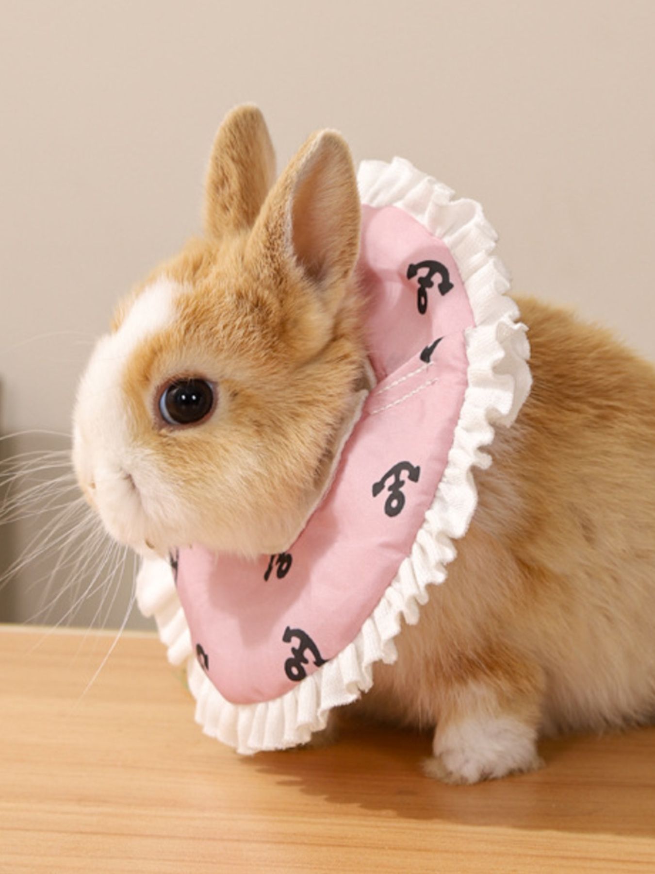 a06d618c-7203-4b88-b466-829d8e74af06-Max