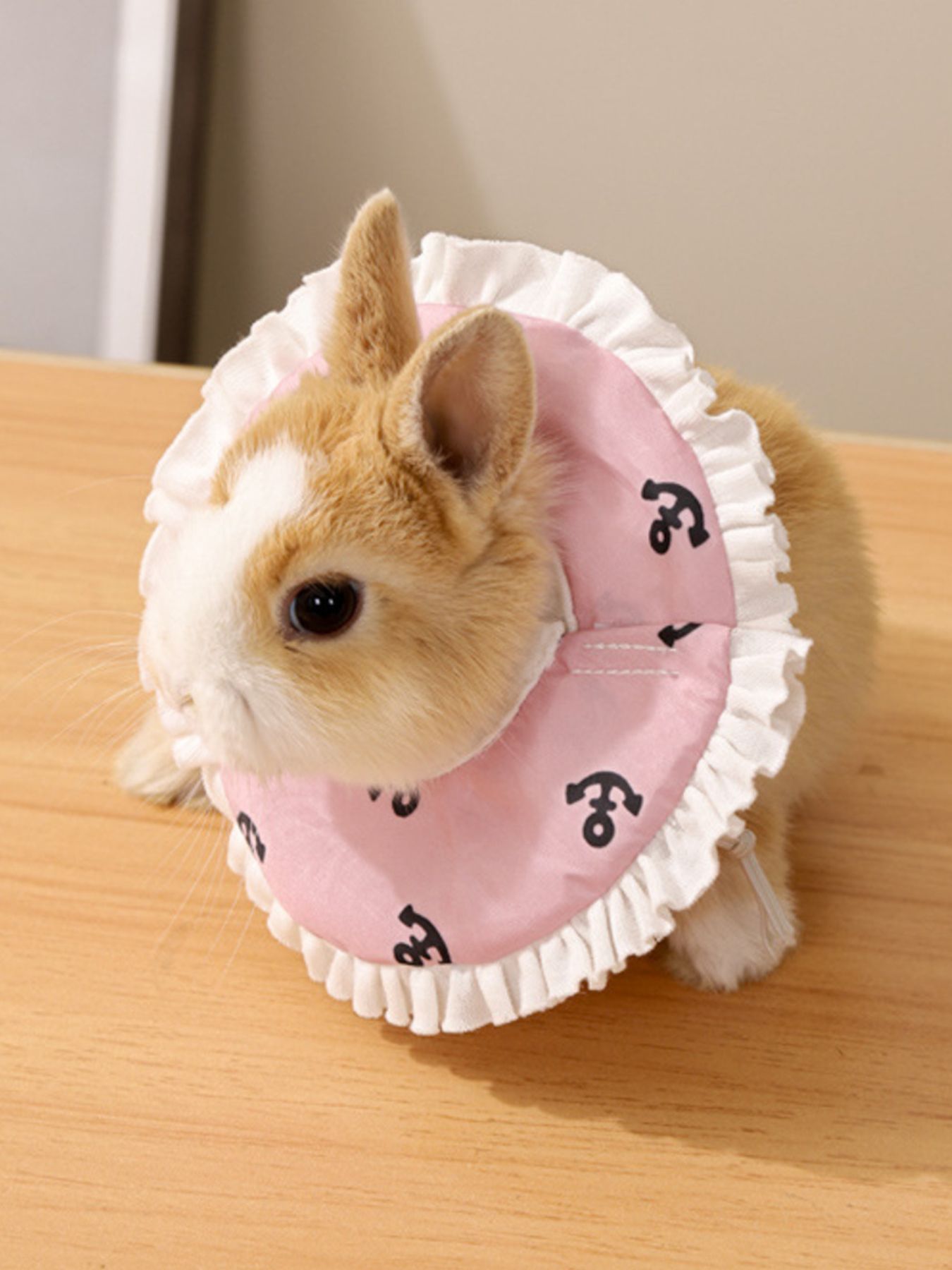 a90ea896-cab3-4d06-8cf3-0036c82d96b9-Max