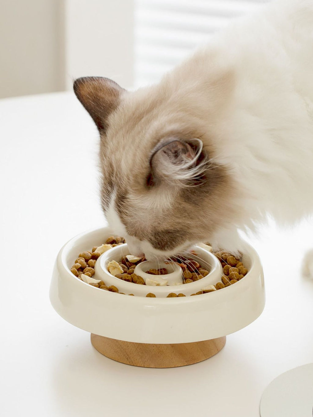 ac35293a-be55-4442-9788-689ec824a906-Max