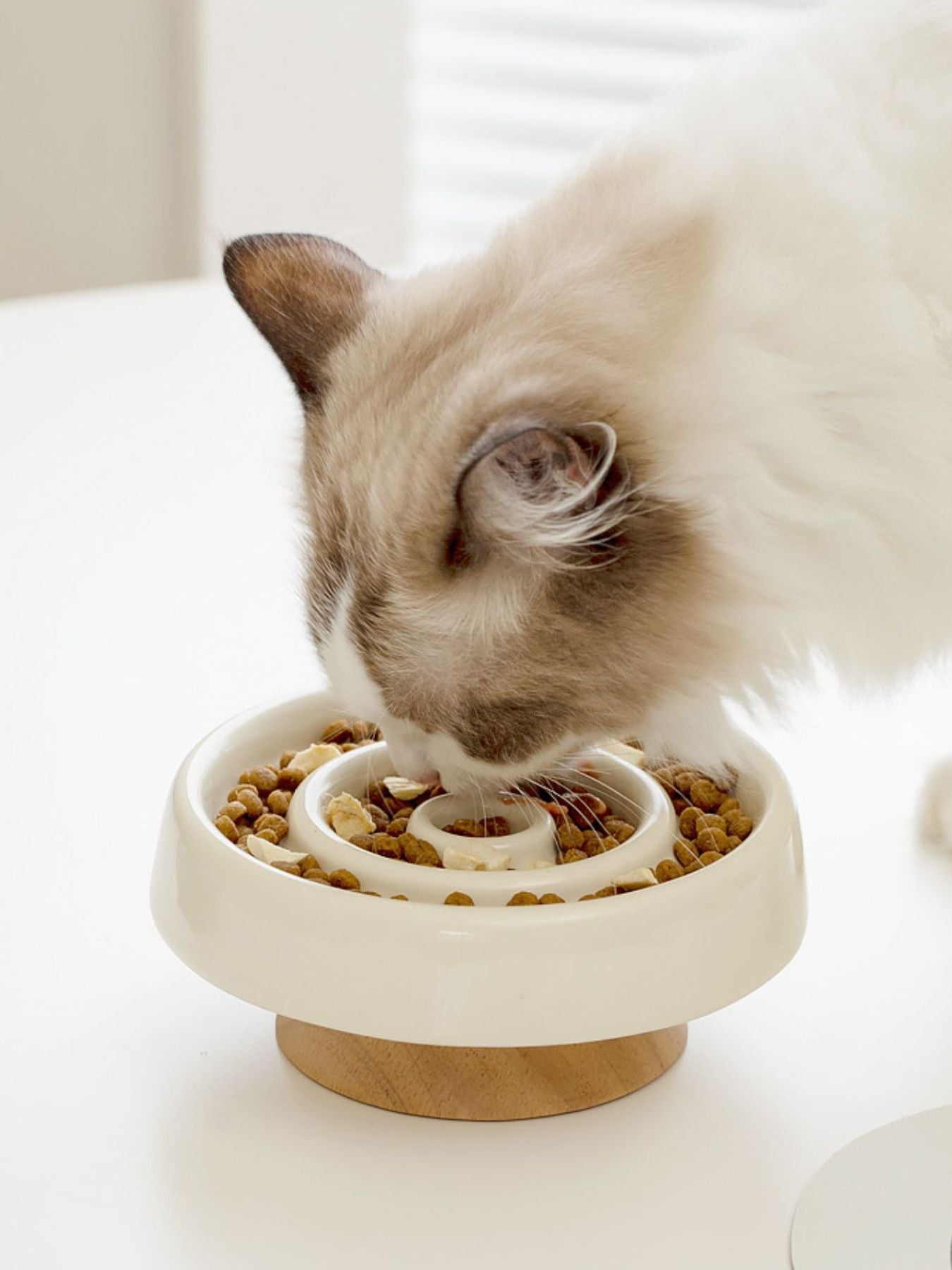 ac35293a-be55-4442-9788-689ec824a906-Max