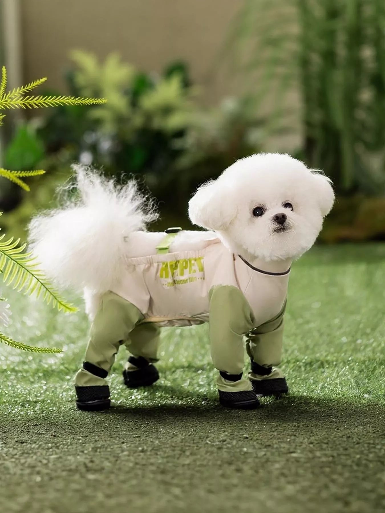 ae536ff3-3393-40dd-b910-609c1417aef6-Max-Origin