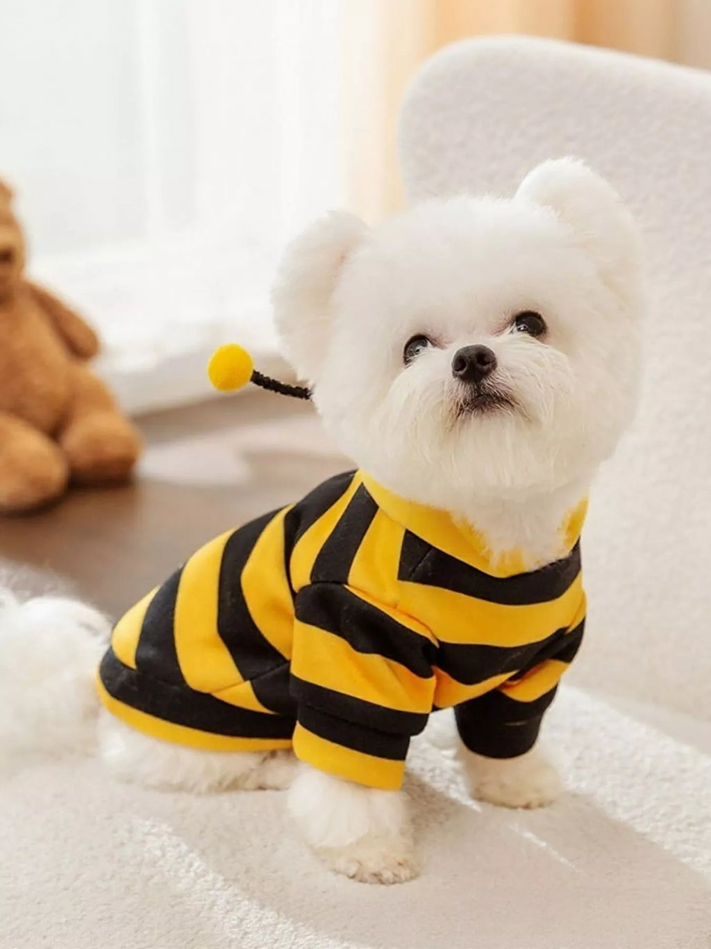 b85ef56b-4667-422a-86c1-e1cd90c138f4-Max-Origin