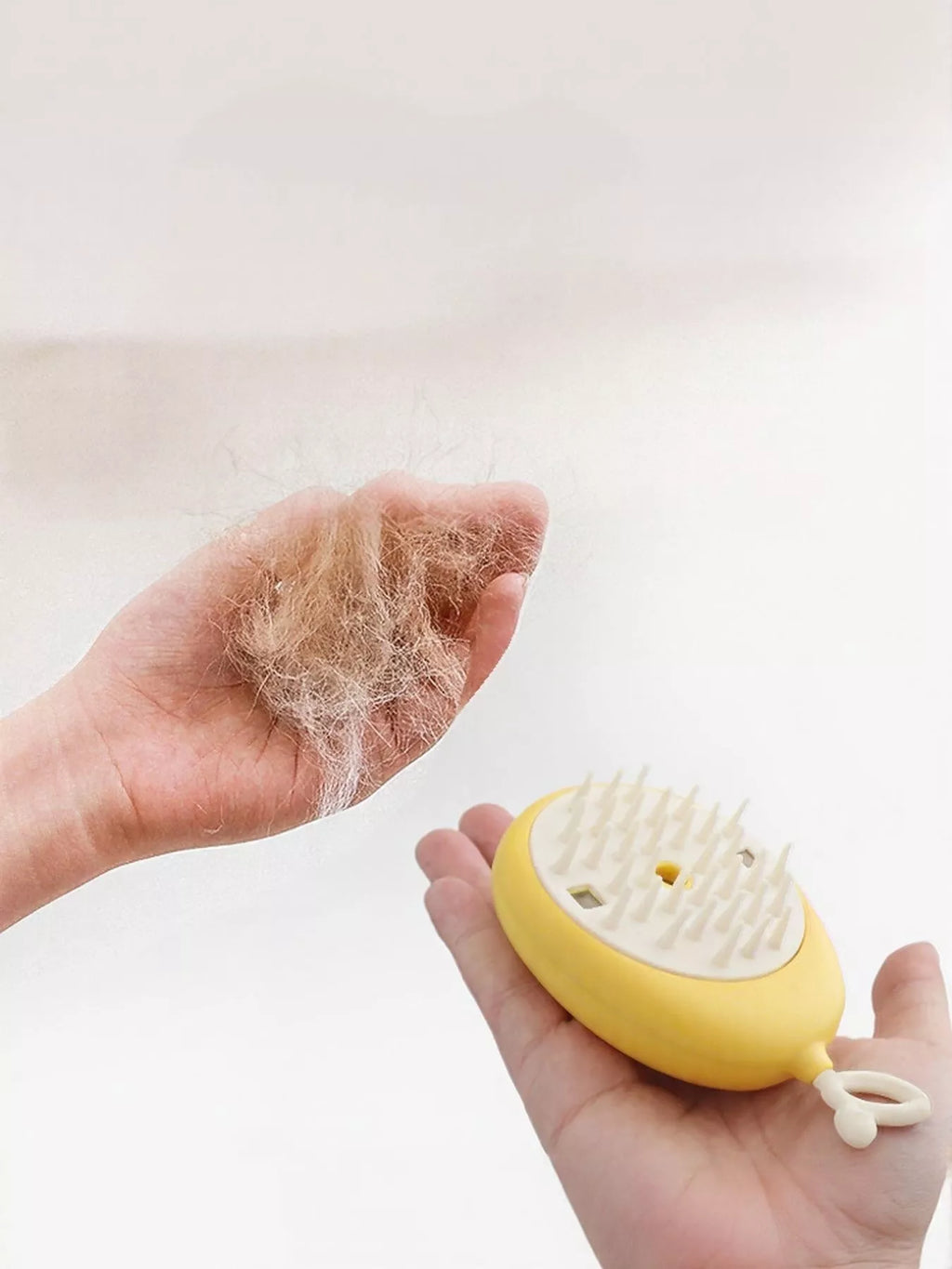 bf532462-40f6-4cb5-a2fa-2b83e795679f-Max-Origin