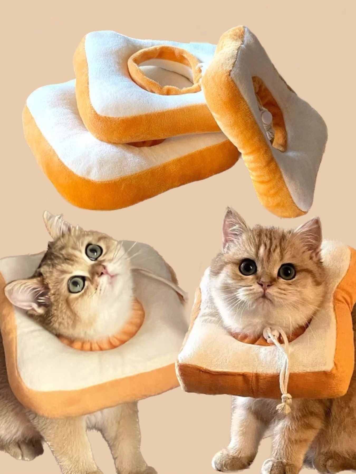 c5afe332-64e2-4e48-b9aa-12be4455aaed-Max