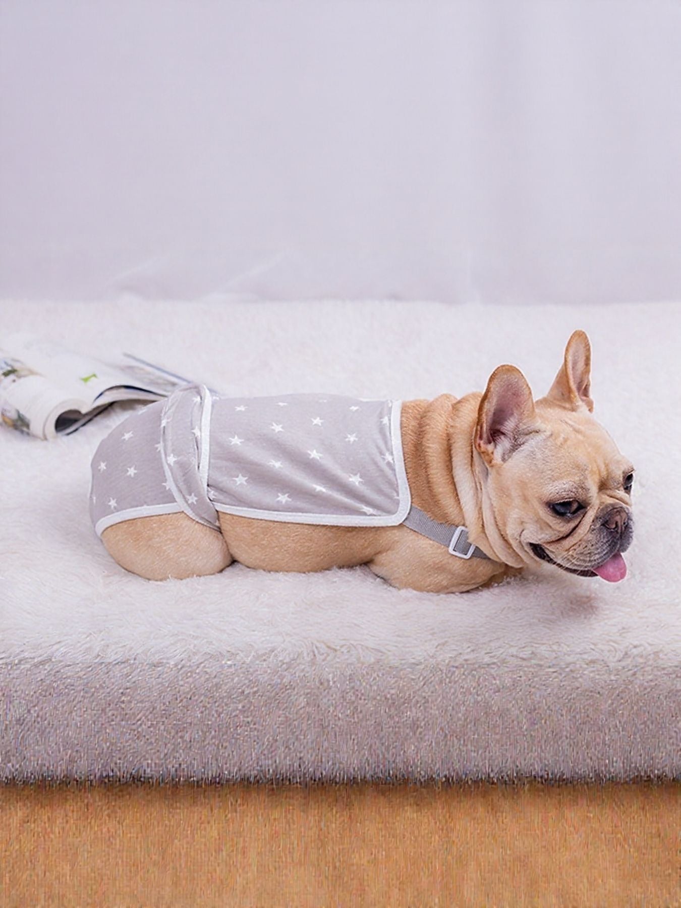 c8f7bc19-e521-4f95-bf2e-e3e1c4e28bbf-Max