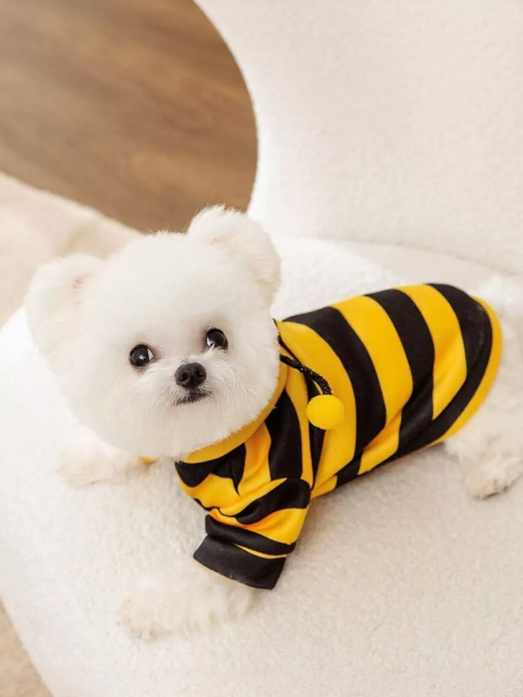 d1677366-55bb-466c-826c-54a6278c3f84-Max-Origin