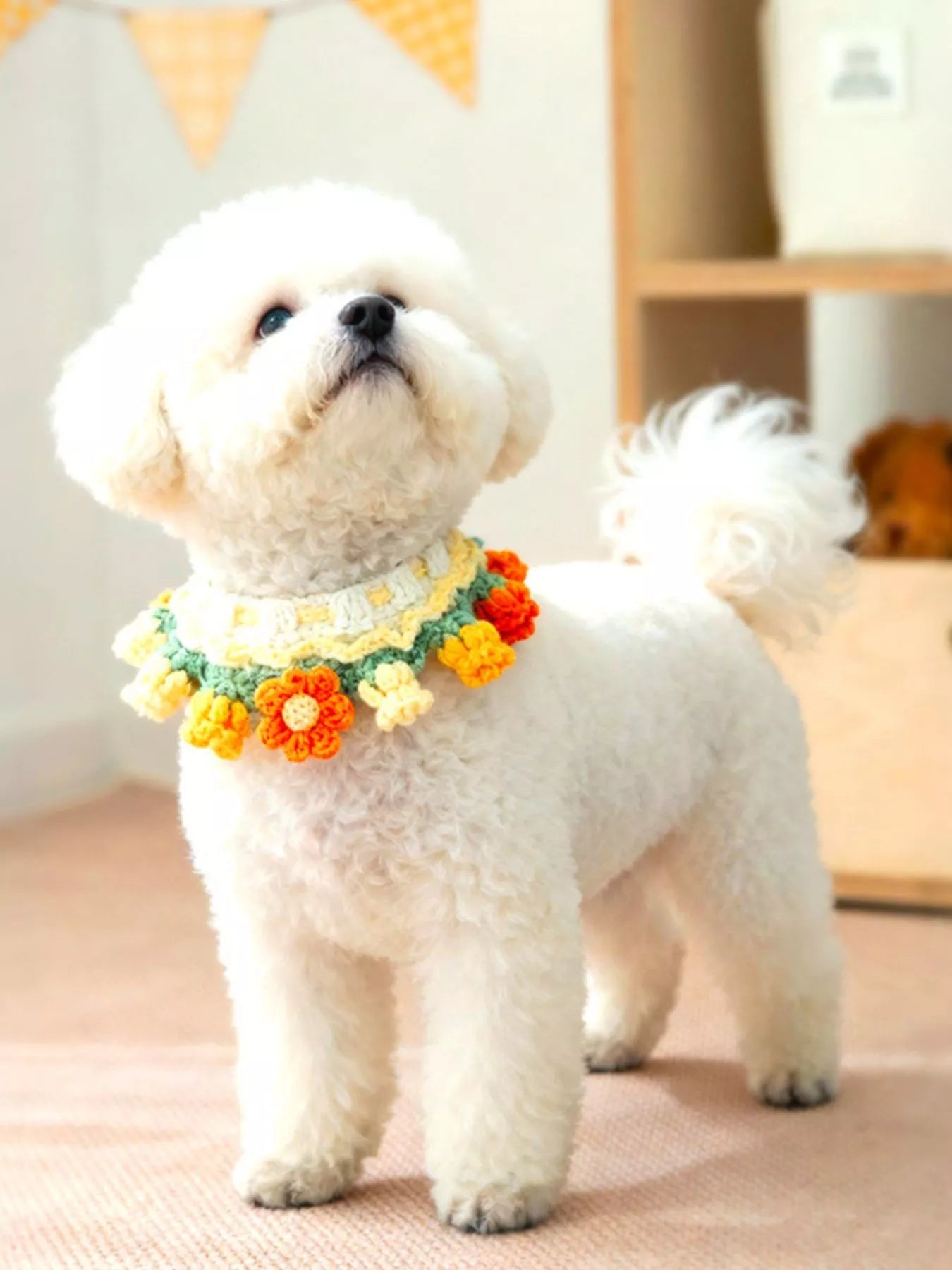 e0cab055-7ab3-4352-967d-9693a07b14e8-Max-Origin