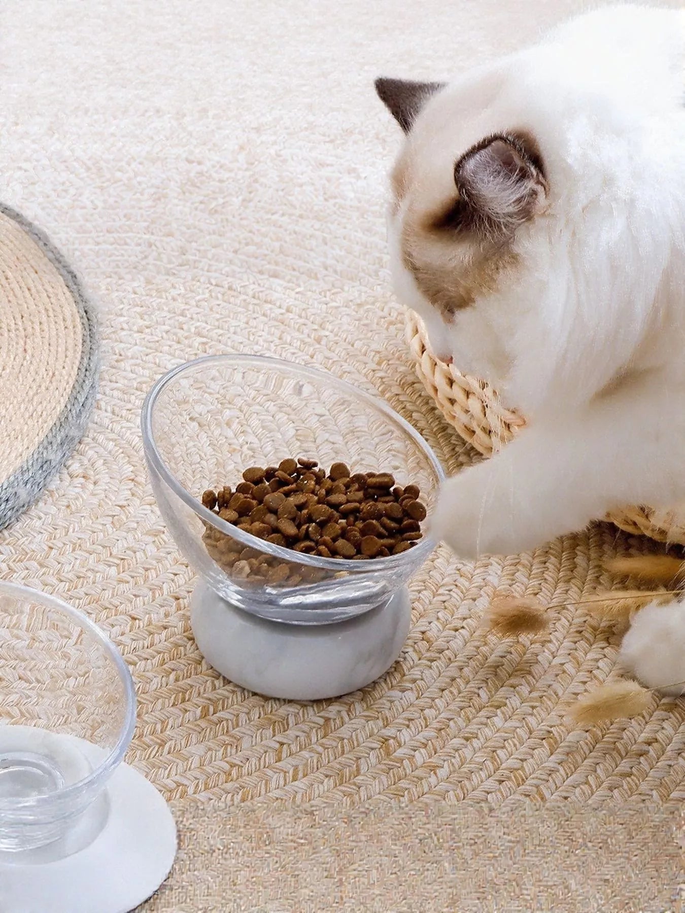 e6ad359d-3083-4ee4-9367-613b40c8793a-Max-Origin