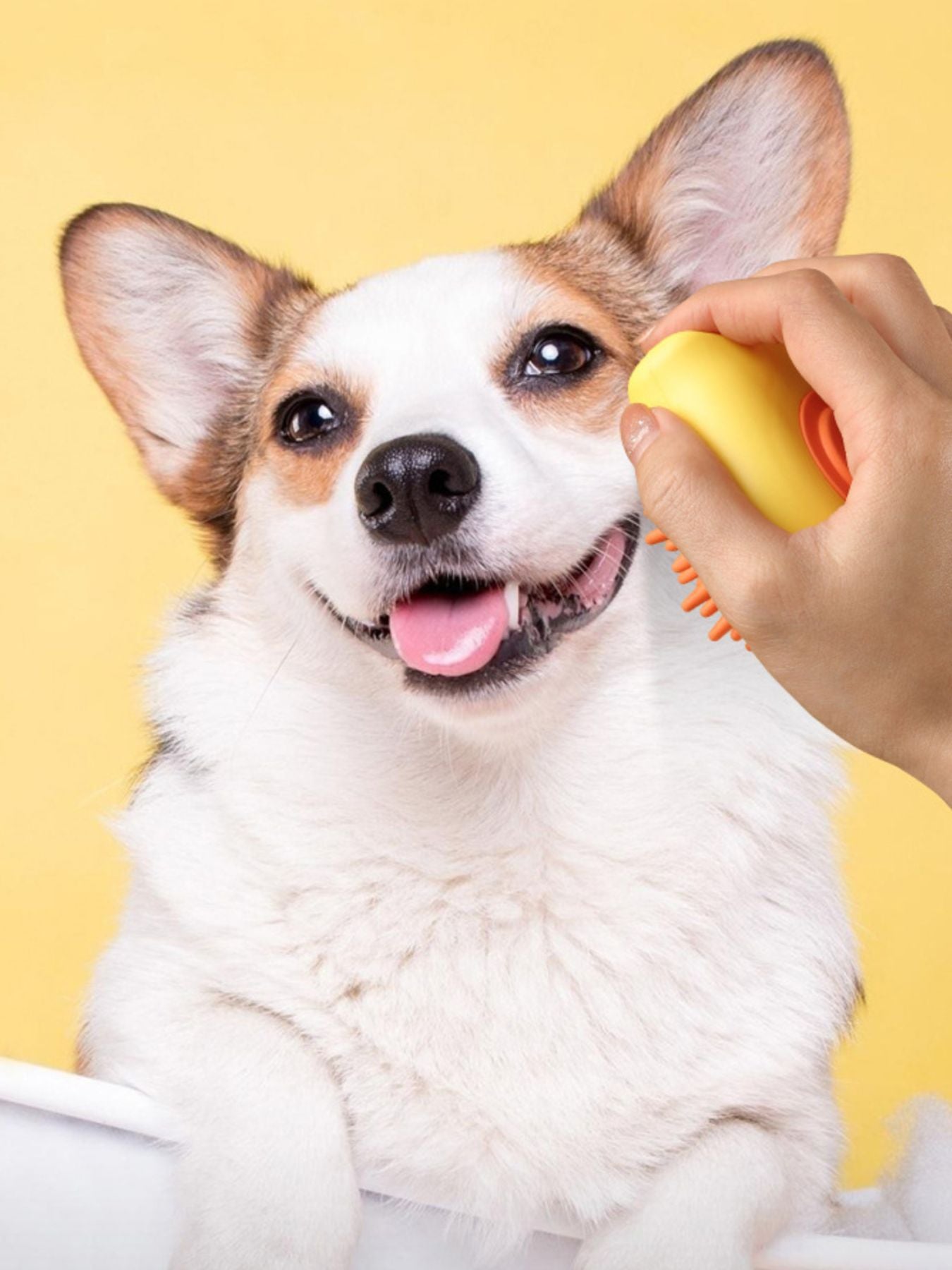 e99ecb71-e753-4144-8906-3d01007ce9d8-Max