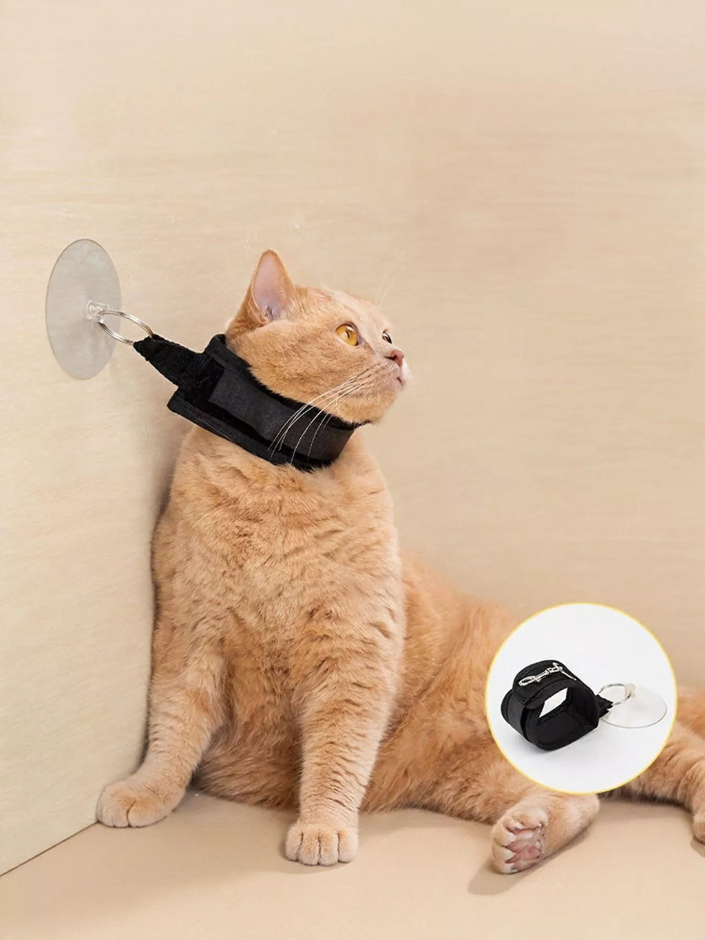 f1a738c6-8faf-48fb-8812-52b4ca07b84c-Max-Origin