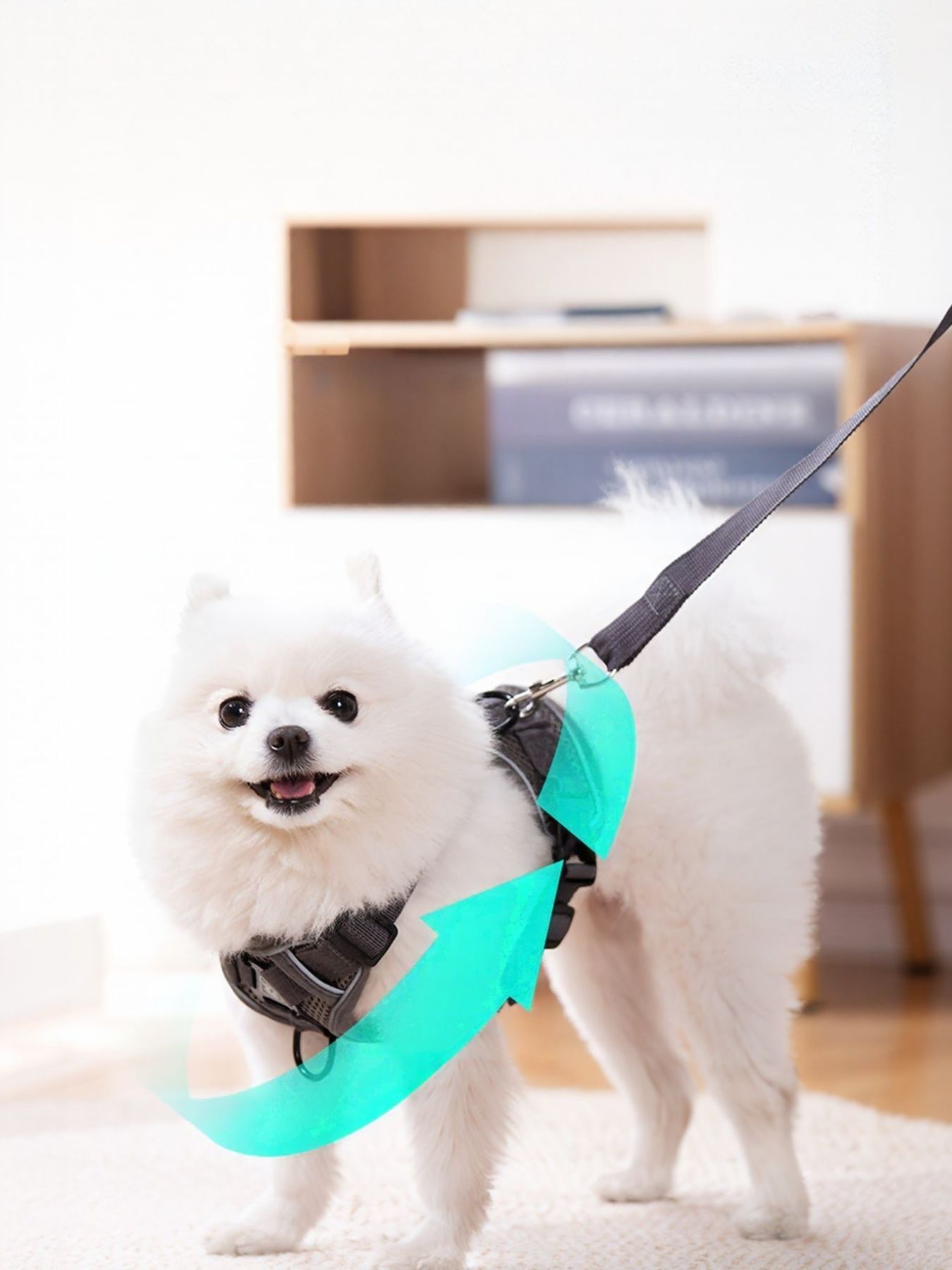 f4d9cf0b-78b5-473c-8b48-0a887c84dbd7-Max