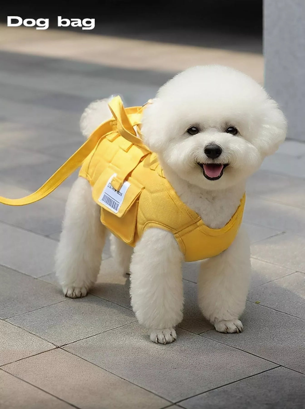 feac4858-9e47-45e7-8d70-094a779e16fe-Max-Origin